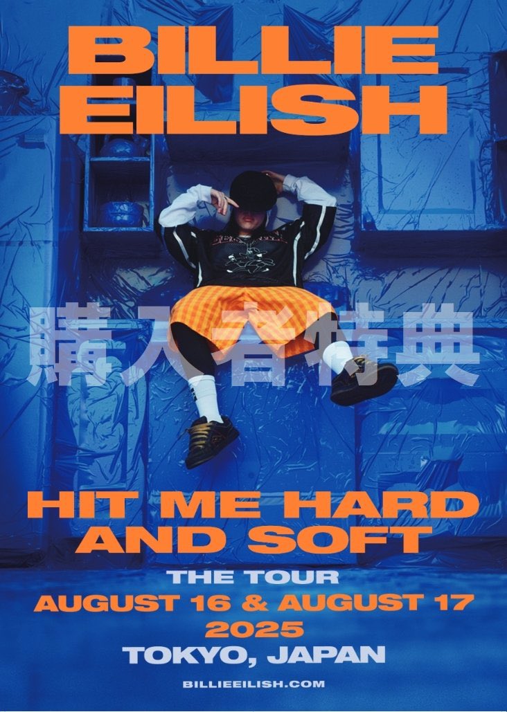 ひ*な様 Billie Eilish 布 ポスター 2025 ビリーアイリッシュ ひ*な様 Billie Eilish 布 ポスター 2025 ビリーアイリッシュ