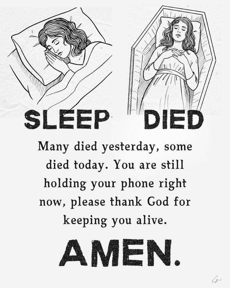 Holy Bible tweet media