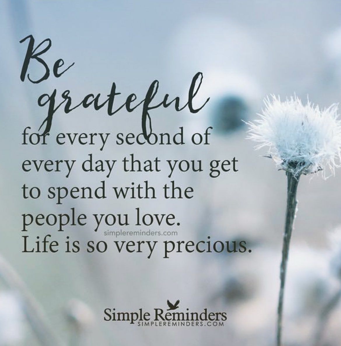 suziday123's tweet image. Saturday Friendly Reminder…Be grateful for every second of every day that you get to spend with the people you love. Life is so very precious. 🙌🩵 #saturdaymorning #weekendvibes #whatmatters #weekendwisdom