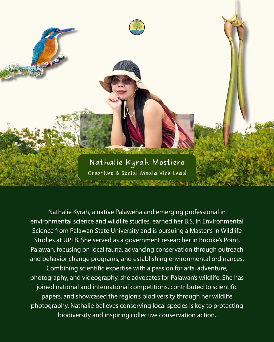 Mangrove Matters PH tweet media