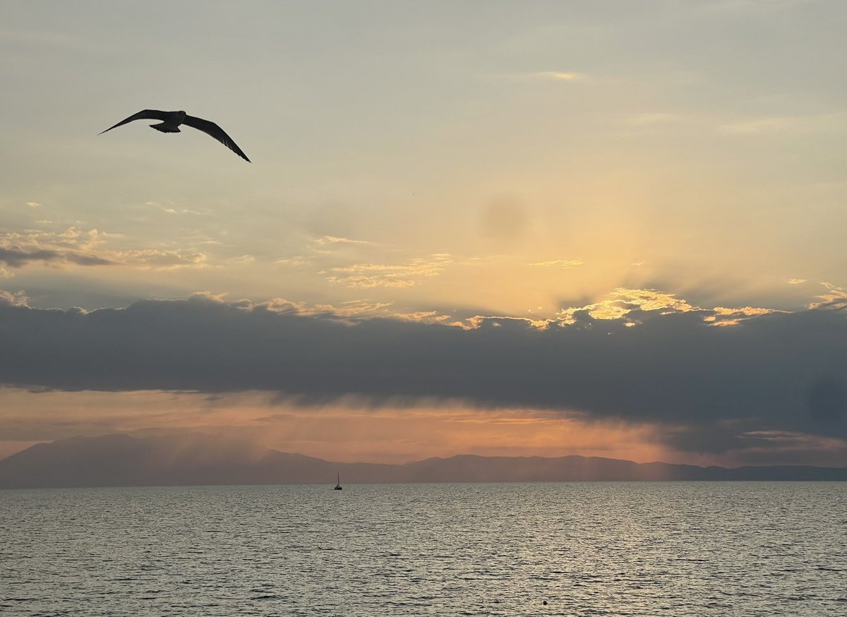 AlastairWaterma's tweet photo. #Sunset #Seascape #NatureLovers #OceanView #BirdsInFlight #PeacefulMoments #SunsetVibes #NaturePhotography #SeaAndSky #TranquilScenes https://t.co/4qe7bgEc7c
