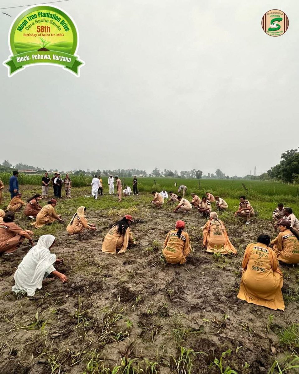 डेरा सच्चा सौदा के अनुयायियों ने Saint Dr MSG के जन्मदिन के अवसर पर जश्न मनाने का एक अनोखा तरीका धरती माँ को तोहफ़ा देते हुए एक विशाल पौधारोपण अभियान चलाया।उन्होंने दुनिया भर में लाखों पौधे लगाए। जिससे वातावरण प्रदूषण खत्म हो।#MegaTreePlantation
#PlantForFuture