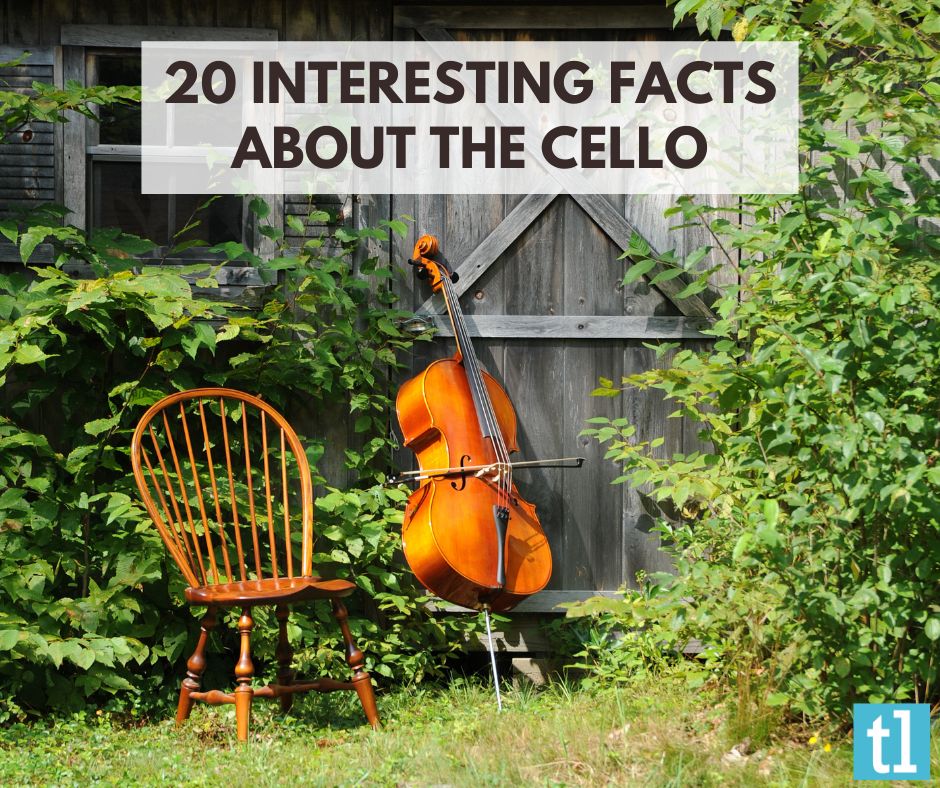 teds_list's tweet image. ‘Cello’ is actually only a nickname. It is the abbreviation of the full name violoncello, which, in Italian, means a ‘small large viol.’ This bizarre name denotes its complicated history of size change. #cellogram #celloteacher rfr.bz/t15b6cb