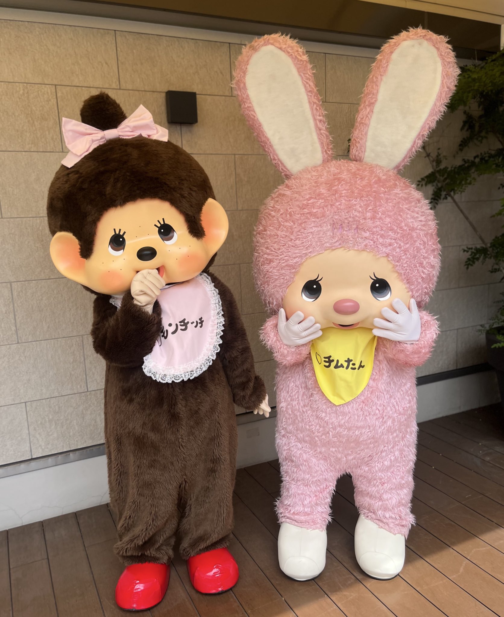 香港限定　ポージング　チムたん　Monchhichi モンチッチ チムたん | ・ デザートはいちごソルベがいいなぁ🍓🍨 #チムたん