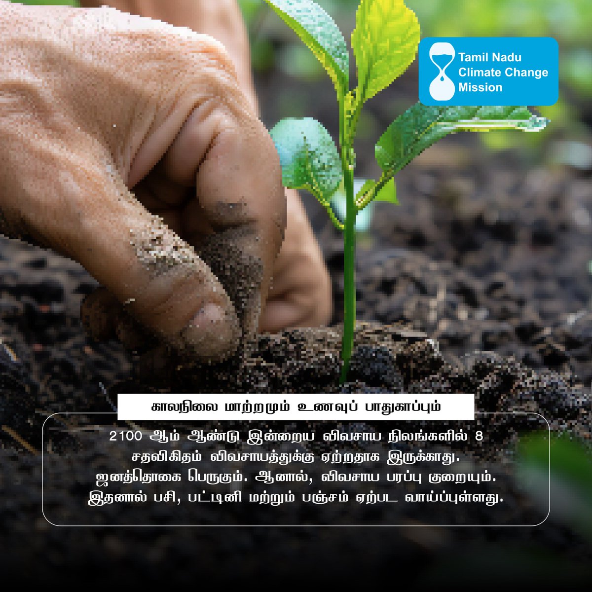 காலநிலை மாற்றமும் உணவுப் பாதுகாப்பும்

#ClimateChange #FoodSecurity #SustainableAgriculture #EcoFriendly #ZeroHunger #SustainableFuture #SaveOurPlanet #GreenLiving #ClimateAction #GlobalWarming
#காலநிலைமாற்றம் #உணவுப்பாதுகாப்பு #பசுமைவேளாண்மை