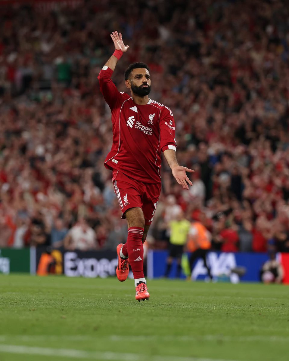 gavin conlan photo tweet media