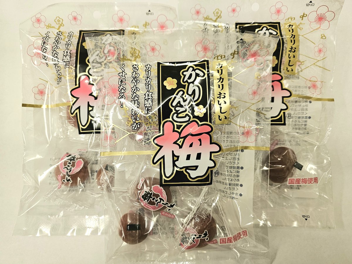 ZOOMO FAMILYの方より、アフリカゾウのメス“マオ”とホンドギツネのオス