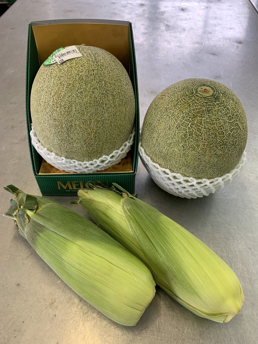 ZOOMO FAMILYの方より、アフリカゾウのメス“マオ”とホンドギツネのオス