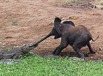 When u accidentally tap in a whatsapp link that leads u to a wedding contribution group