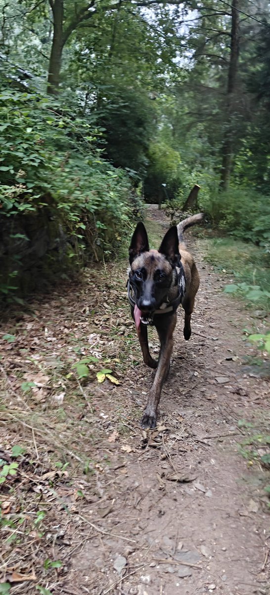 mAnu mA (@manuma666) on Twitter photo Guten Morgen Frens, einen entspannten Samstag ☕😁 Guten Morgen Frens, einen entspannten Samstag ☕😁