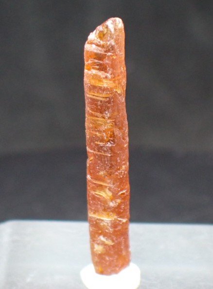 ozRsBzHI01xdkJT's tweet photo. 藍晶石　タンザニア
Kyanite カイヤナイト
Al2SiO5　三斜晶系　硬度4 1/2〜7
①全体　②拡大　③拡大(深度合成) https://t.co/SthbbavjFv