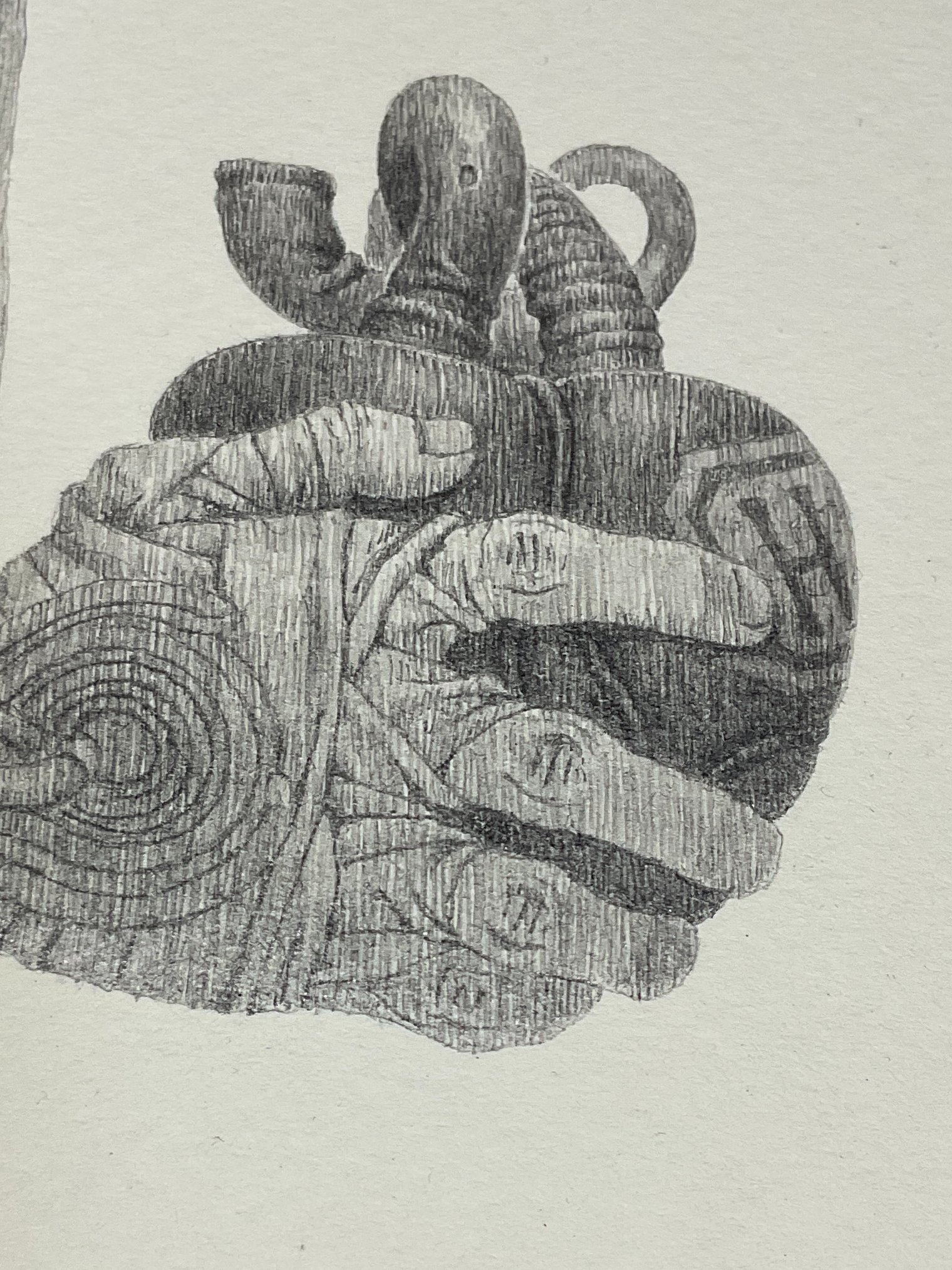 infection 〜感染〜  （鉛筆画） 原画  最終価格 色鉛筆画 1枚（全23種）【複製画】 | KPW公式オンラインショップ