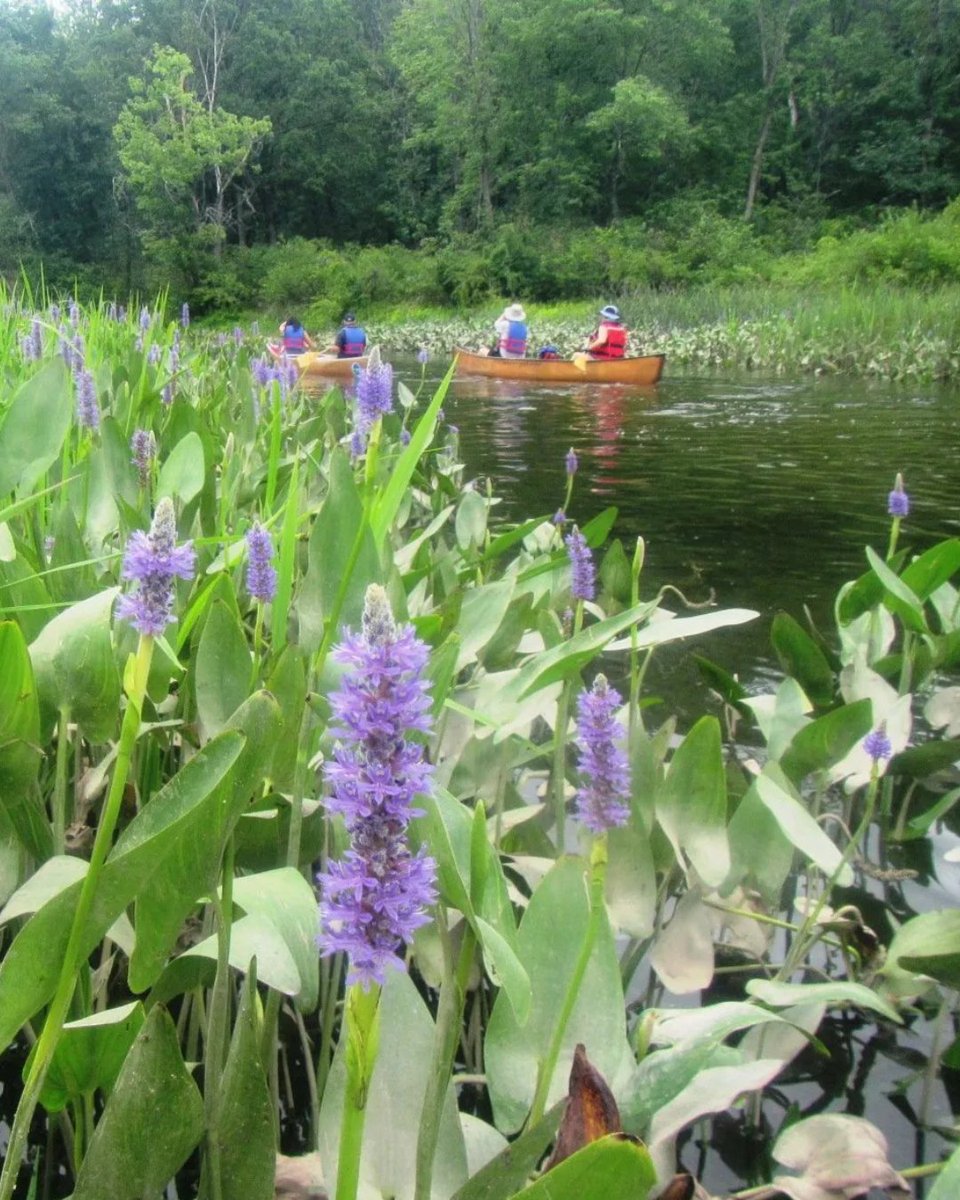 #Woodsmoor This August: Quiet Station, Smart Connections

All trains replaced by buses 🛑
Hourly to Manchester (2hrs Sundays) 🚍
🎟️ Tickets valid on 192 Bee Network

🌿 Stop off in Stockport for riverside walks &amp; independent cafés

📆 nationalrail.co.uk
#GreekStreetBridge