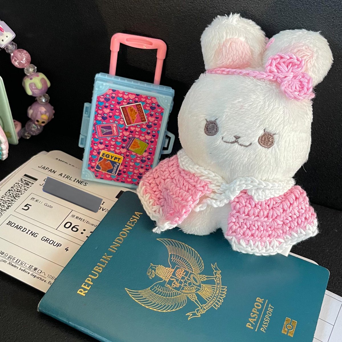 preciousouth's tweet photo. 🎀 Collecting photos in a diary style makes the doll feel like a little character on its own adventure ✈️💅🏻✨ https://t.co/KVzTLbpA0r