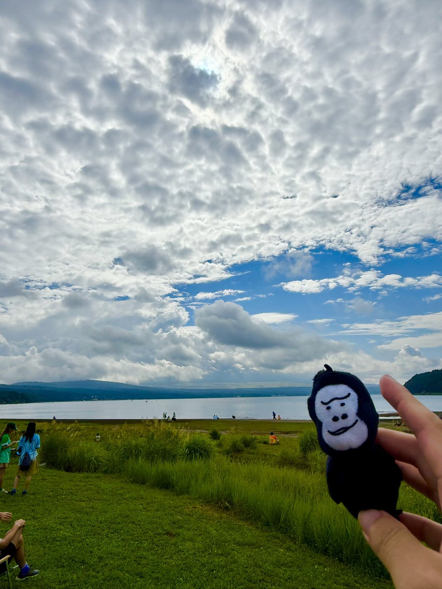 ファミえんだよ！ごりひよ！
#くらしのごりひよ