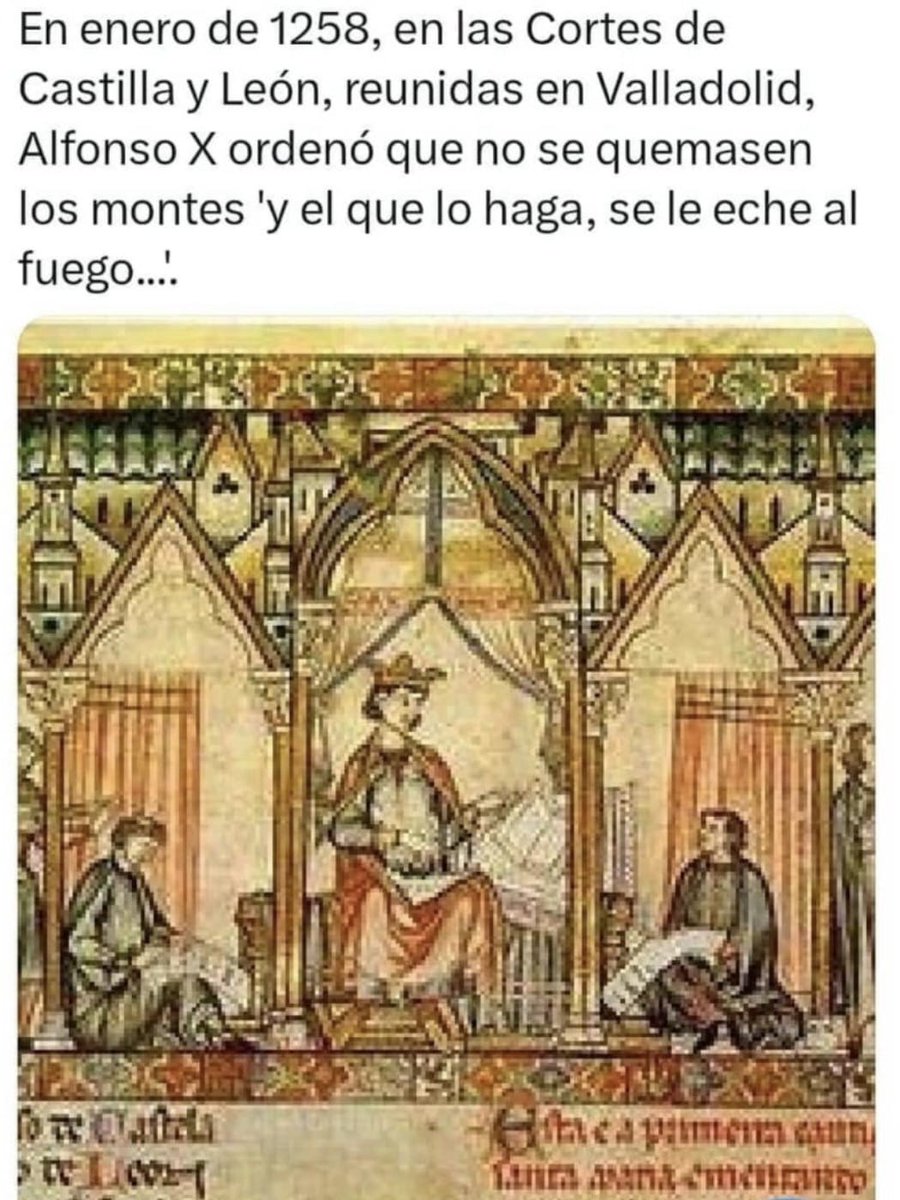 pjcsanz's tweet image. 