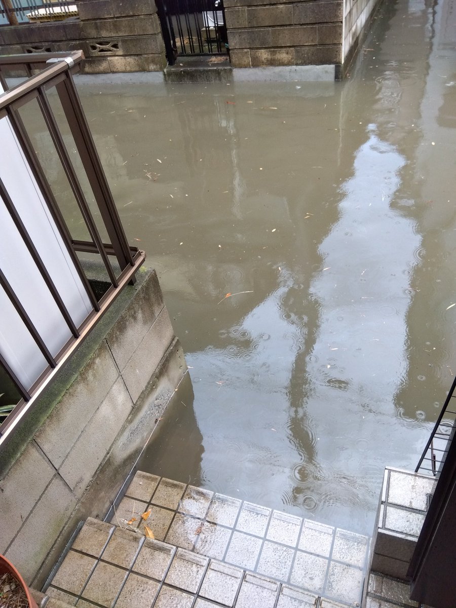 Miavi_'s tweet photo. 記録的短時間大雨情報が出てまた洪水
先程、この中をジャブジャブ歩いて帰ってきた https://t.co/Rm8JuWJILG