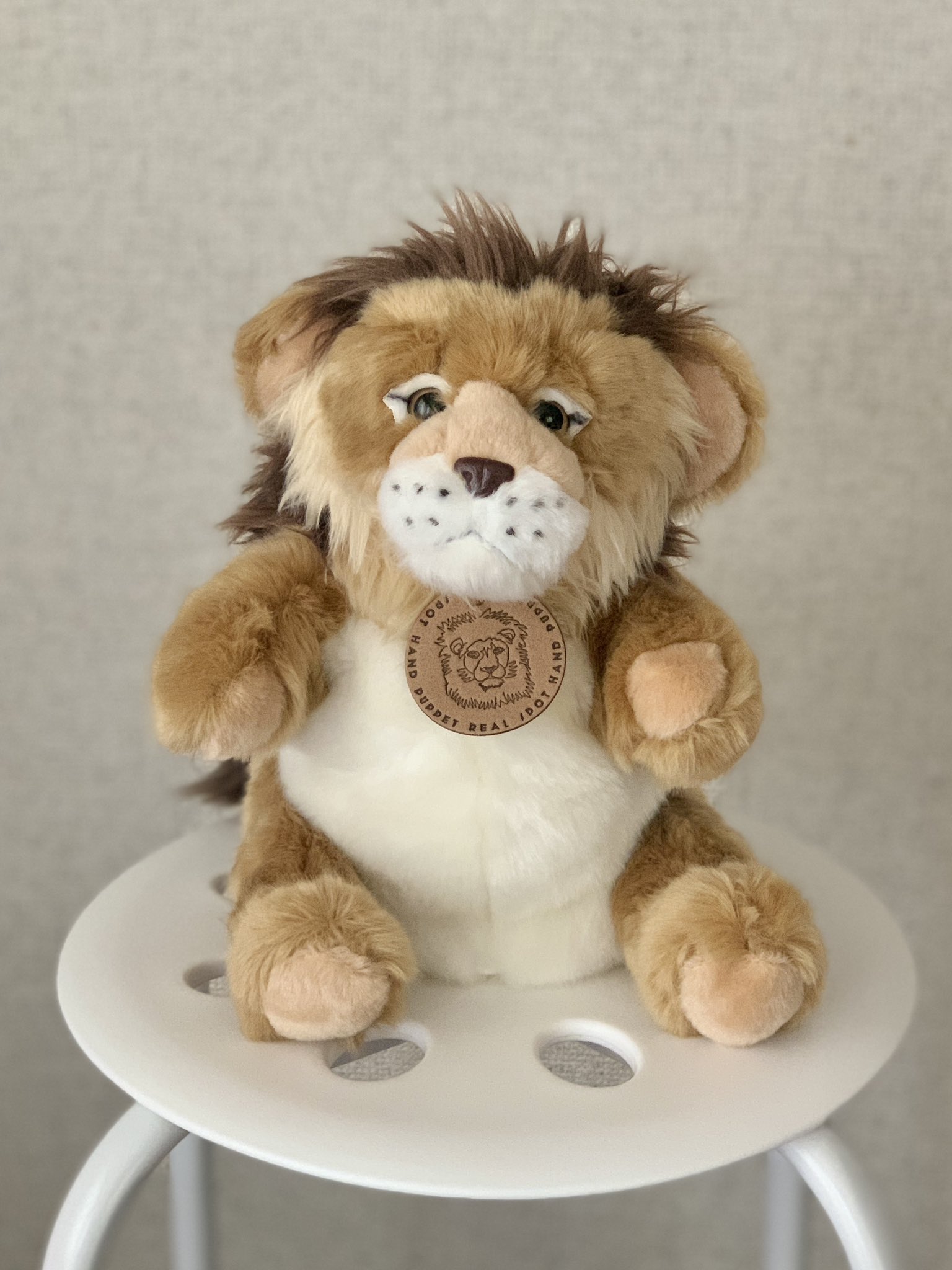 ワーリー ぬいぐるみ セット Amazon.co.jp: テイクオフ(Take-Off) ワーリー S グリーン