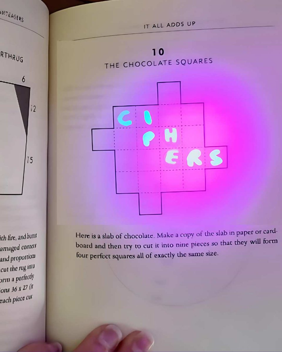 lorisowen tweet media