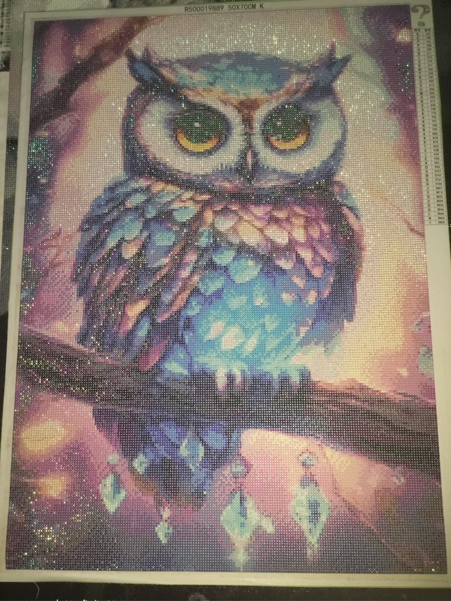 Owl 🦉💕🤩 #diamondpainting #art #hobby #painting