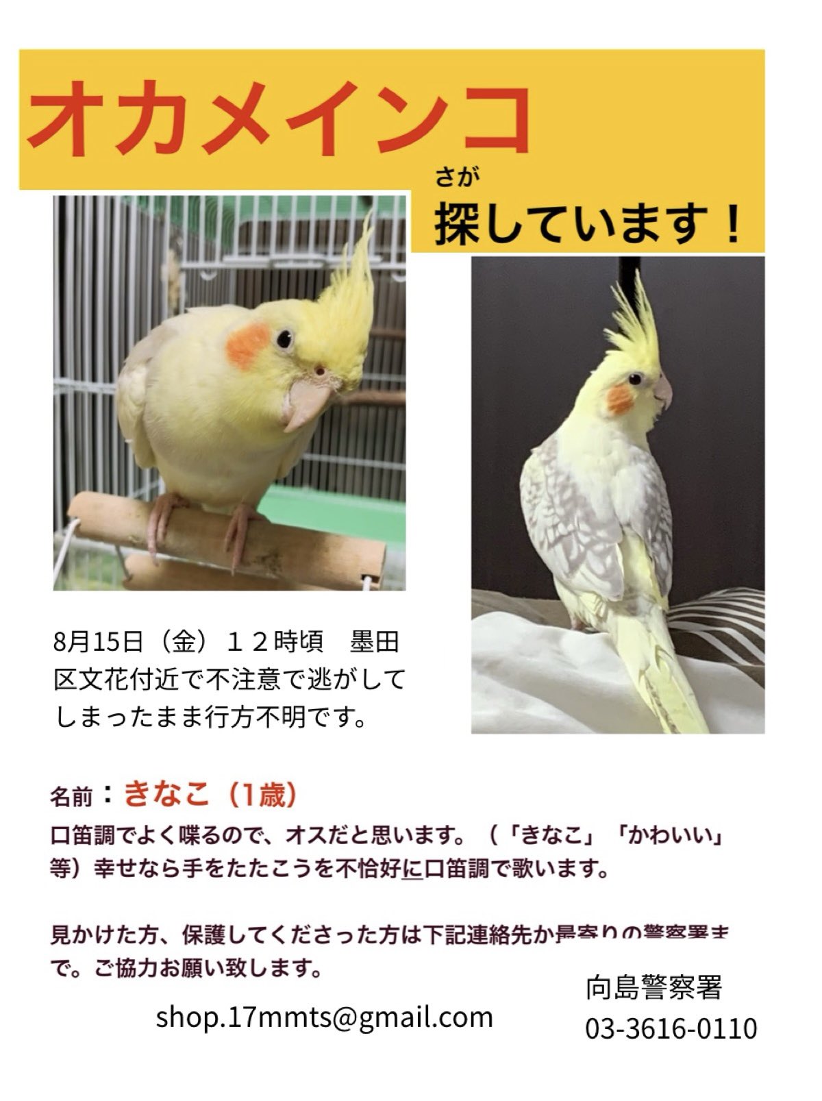 レア❣️未使用未開封！ご当地キティ東京西新井大師.ほおずき市、茗荷谷、花3点 キティちゃん：50 件の「地方限定♡キティちゃん♥♥」の