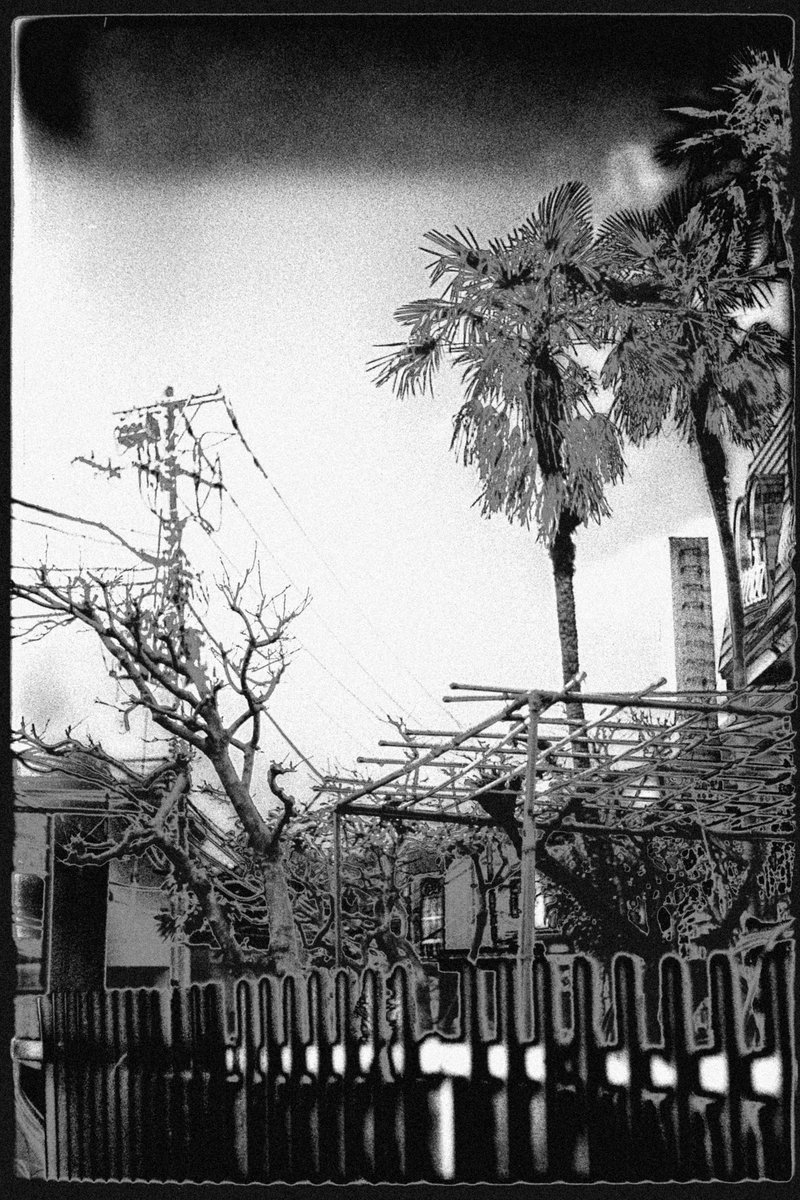 sohmaerism's tweet photo. READ ing JAPAN

#summitar 
#streetart 
#PhotographyIsArt 
#streetphotography 
#blackandwhite https://t.co/O0jGsxABSr