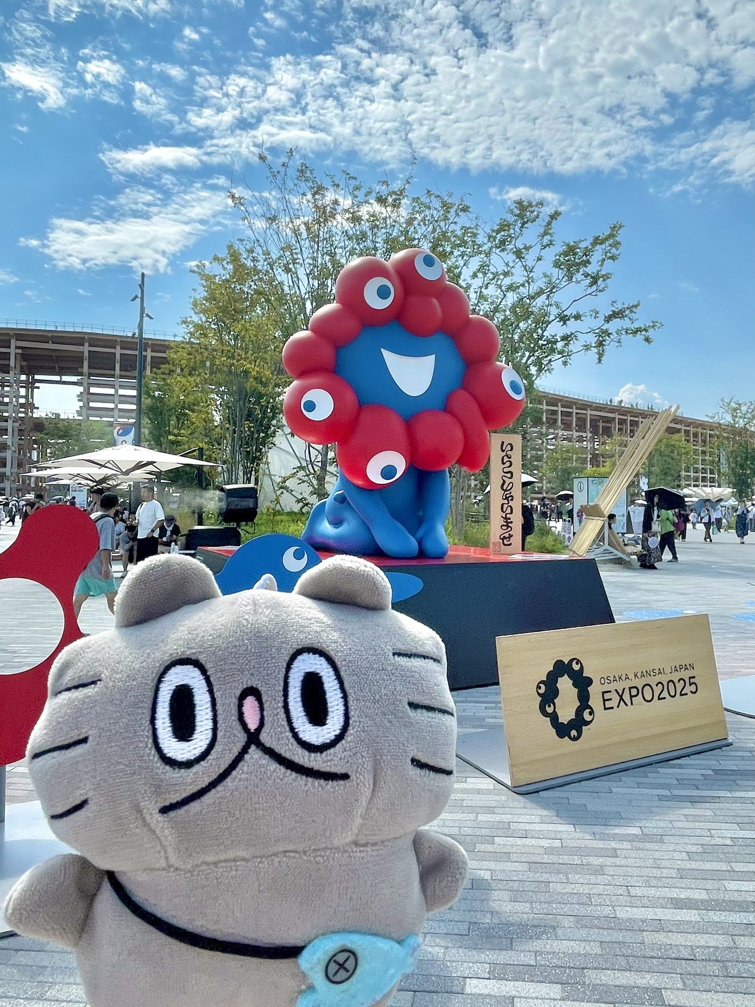 高橋きの 🐟ねこのぶーちゃん♨️ぶ〜の湯ありがとうご