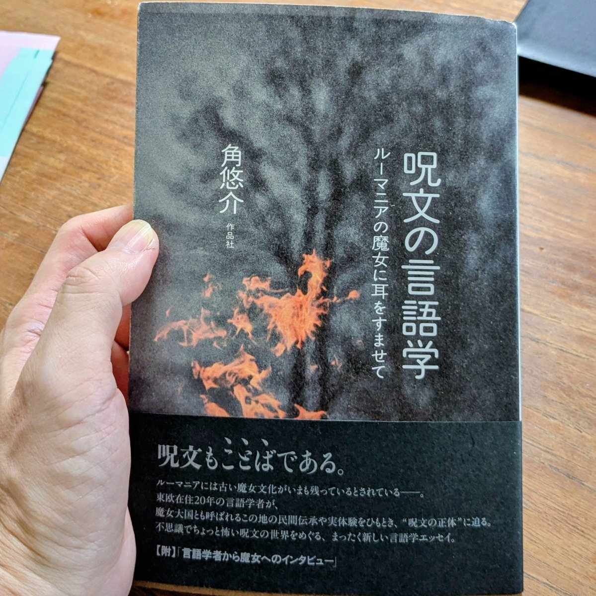 ルーマニアに魔女がわりといる、という起点から、魔女や魔術、それらを取り巻く信仰や文化をじっくり踏まえてから、筆者専門の言葉の話を始めるという流れが丁寧で素敵。逆にいえばタイトルが謙虚かも、と思うほど。

呪文の言語学　ルーマニアの魔女に耳をすませて
sakuhinsha.com/nonfiction/310…