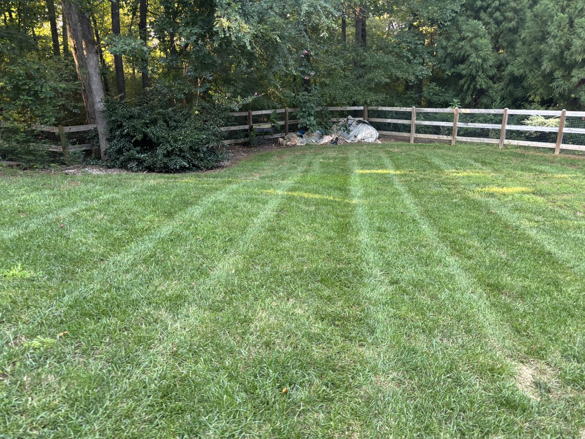 Shadetree_77's tweet photo. Southern Edge Landscaping, AKA Rock’n Rodden, back at it today!! These yards were a little wet today but they looked good! #TheyDone @rlrichar6 @CarolinaPreps1 https://t.co/SIPlnaTxXx