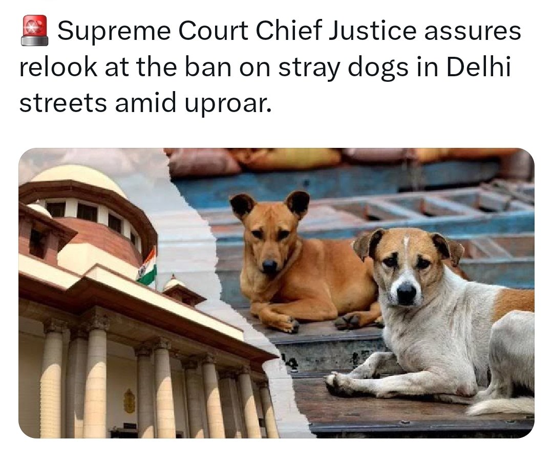 DAY 227 — In this country, stray dogs have rights, protested against a Supreme Court verdict and got a stay. Vintage car owners protested in Delhi and got a reversal. But Hyderabadis travel like cattle — and nobody cares to improve public transport

Dear Prime Minister