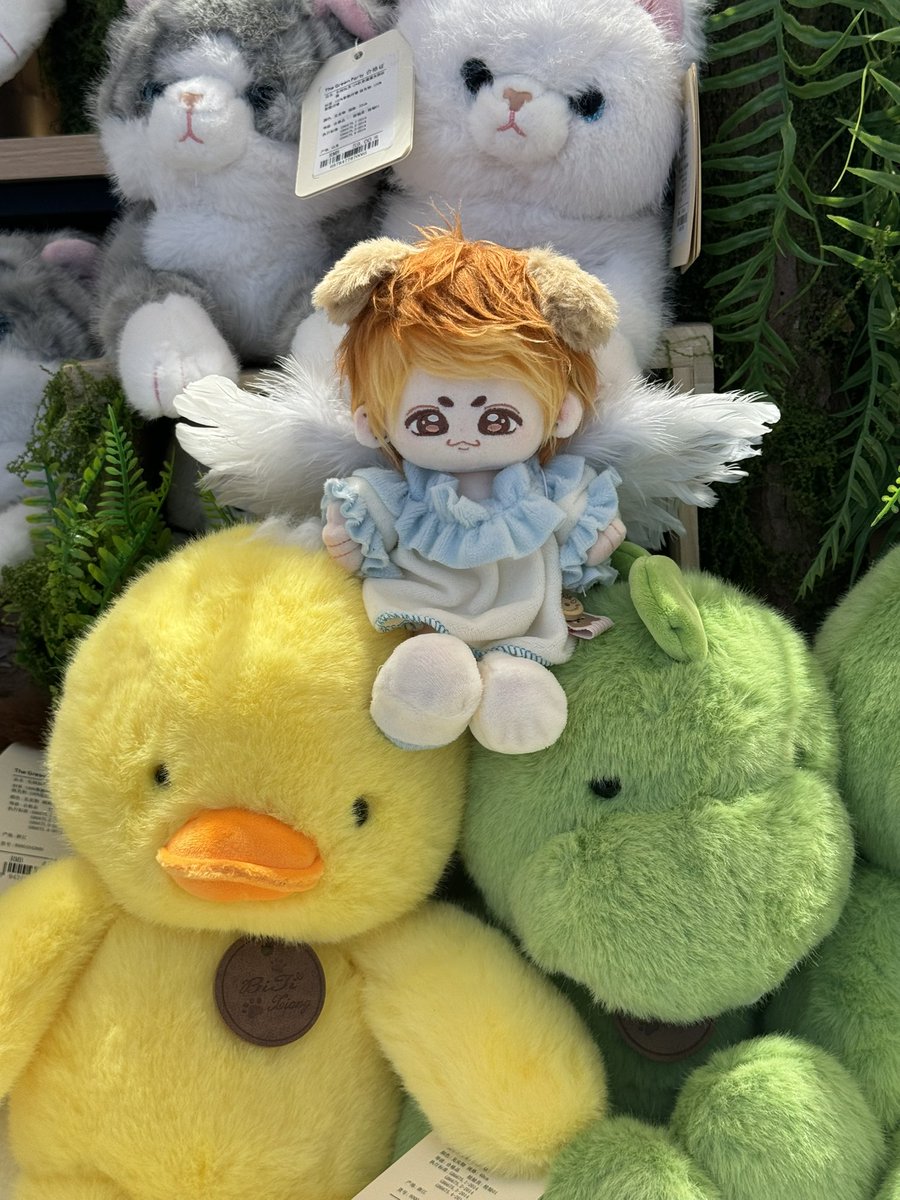 HM773iCoN's tweet photo. ✨💛 Caramel Pudding-cutie Alert! 🧸
Meet Pudding Jong — the SHINee Jonghyun fanmade doll inspired by the iconic Ring Ding Dong era! 🎵

📅 Pre-order: 2025.8.15–9.15
💰 Deals: 50-group ¥80 | 100-group ¥72
🛒 WeChat: xoalsoxxx

#SHINee #Jonghyun #KpopDoll #FanCreation #종현 https://t.co/K5x8HODoIQ
