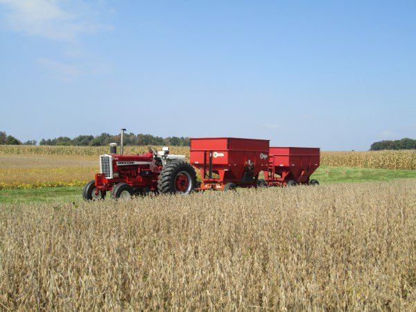 Gavin Spoor tweet media