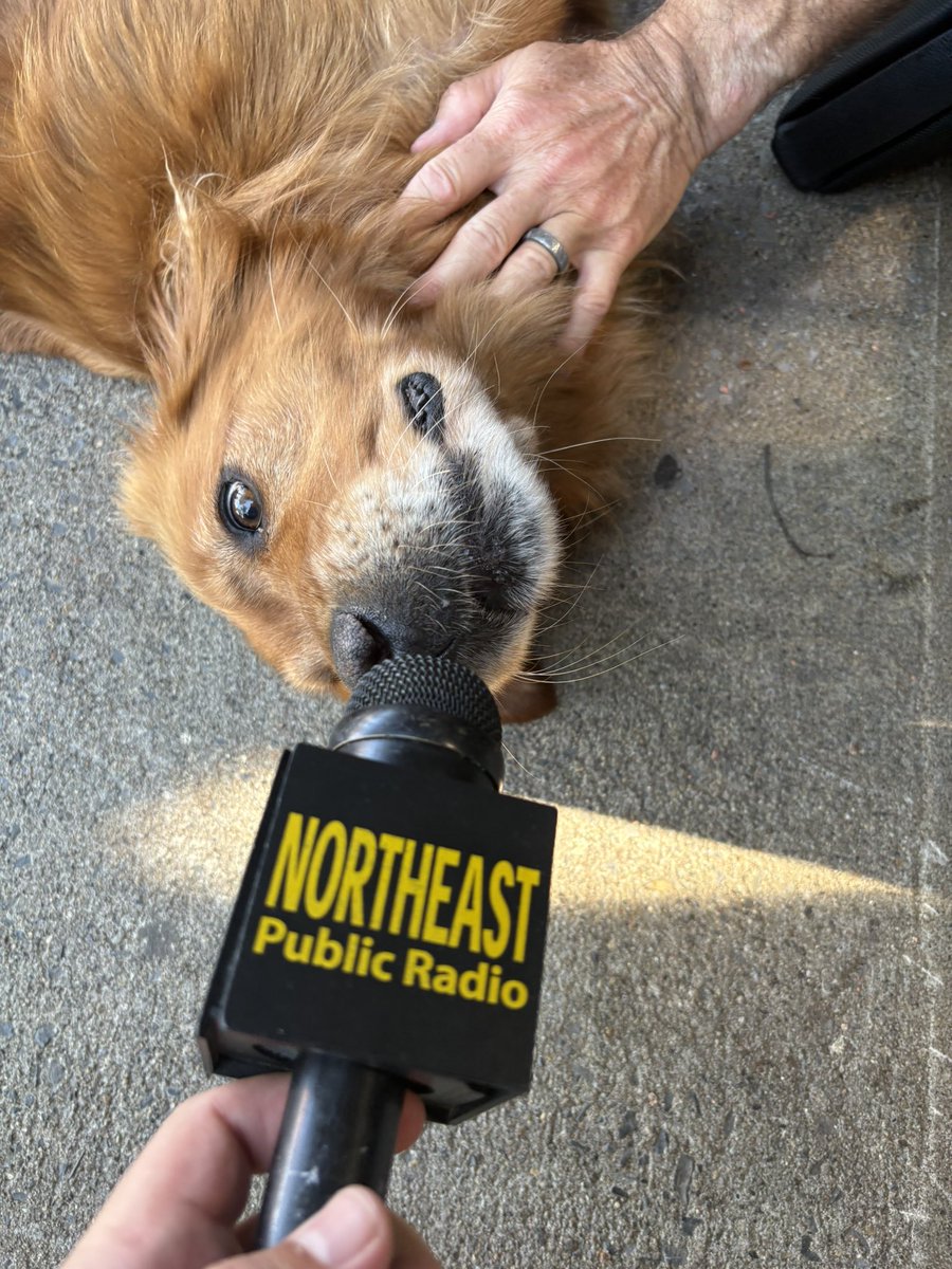 “No comment.” 

- 6 year old Bailey 

Of “Bailey on Broadway” Fame