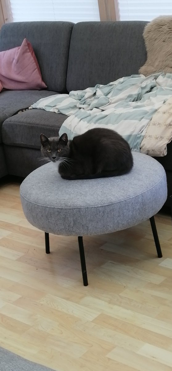 rate this loaf :3