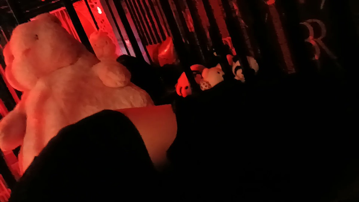 淼淼♠️ tweet media