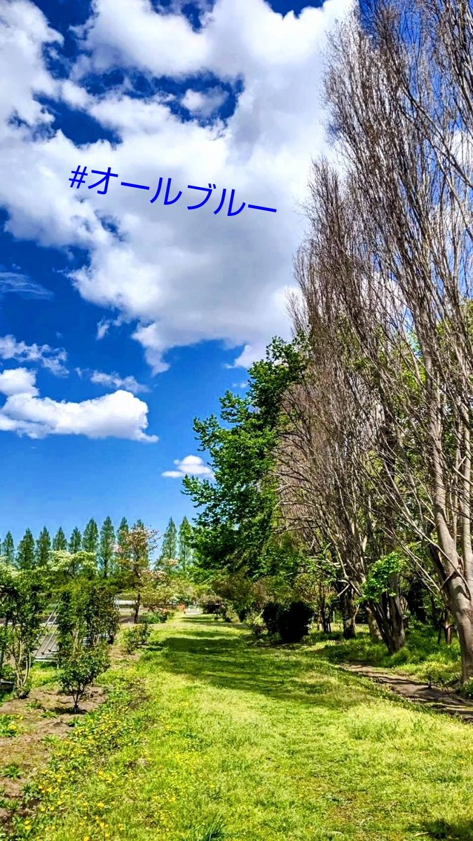 nazonazo_bito's tweet photo. まだまだ、もっともっと
#オールブルー https://t.co/IGfzOILdds