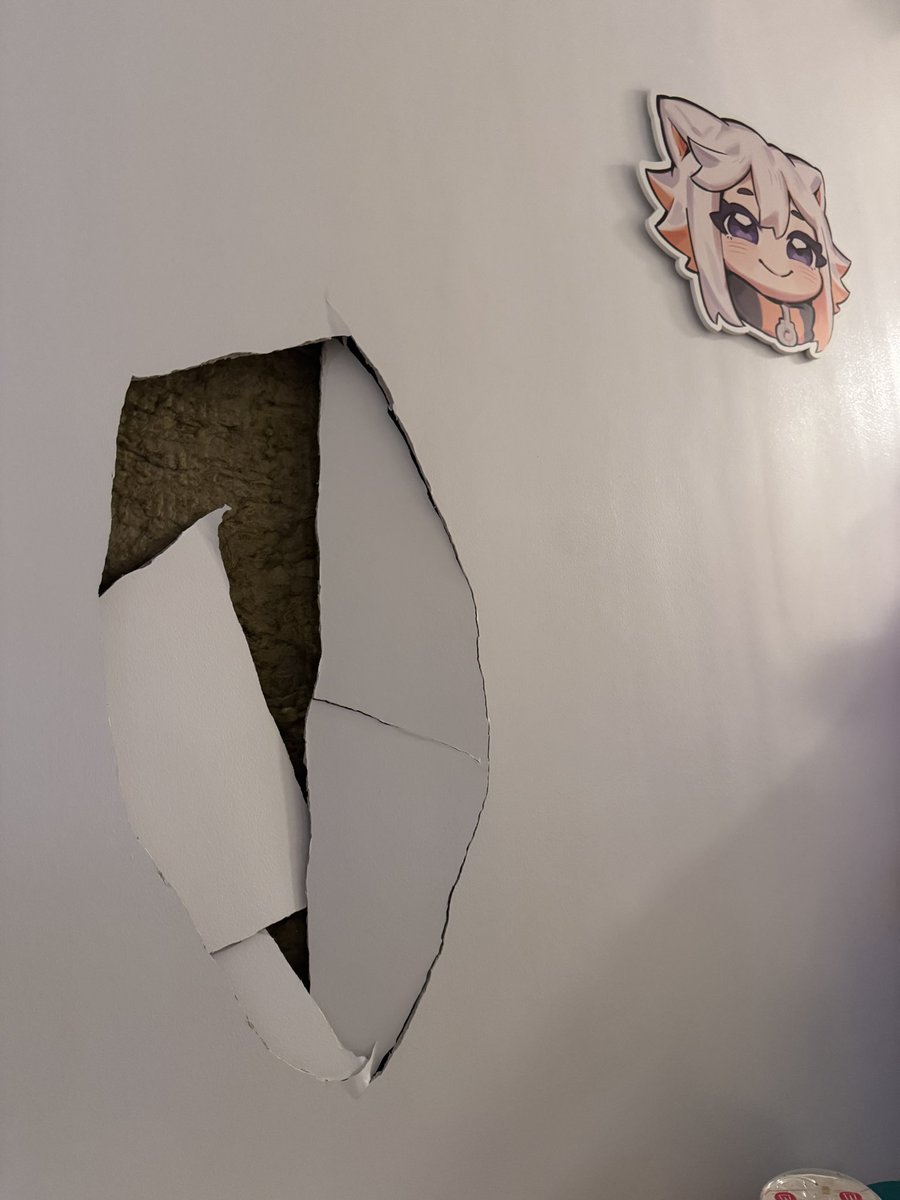 i fucking tripped
