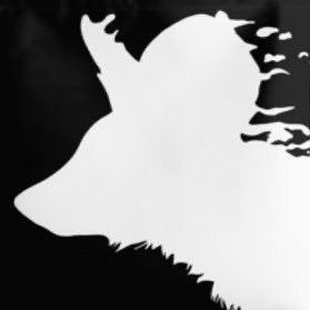 🌻Paintless tweet media