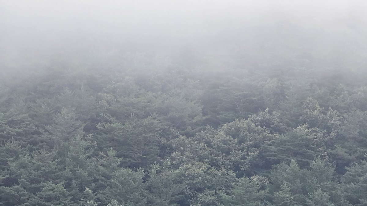 서로 다른 초록