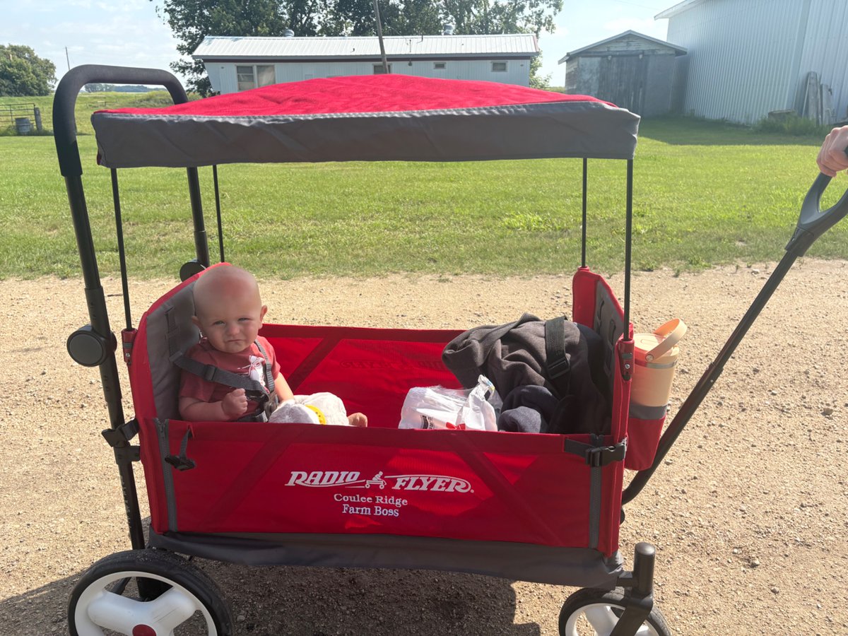 Wont be long before he’s barking orders and shaking his head at me