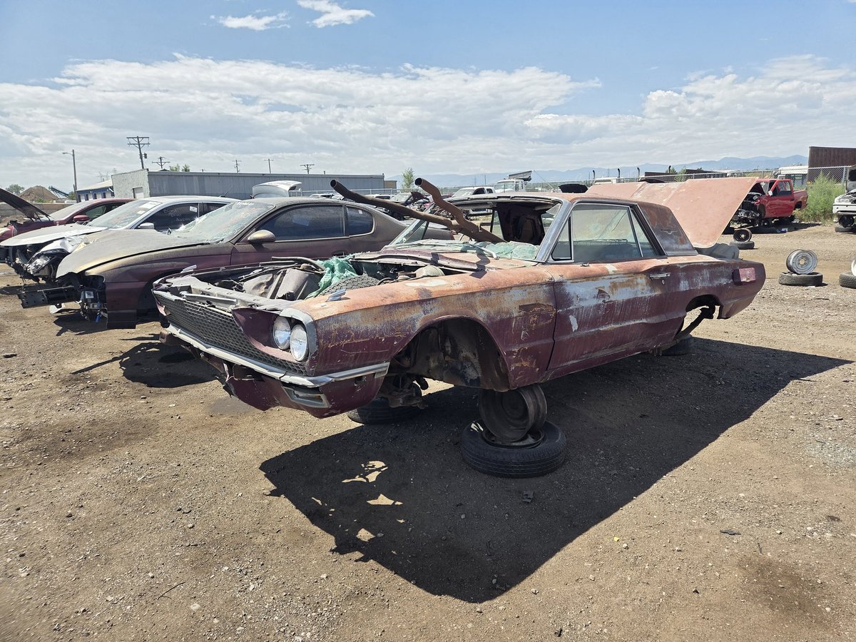 Lots of good junkyard finds.