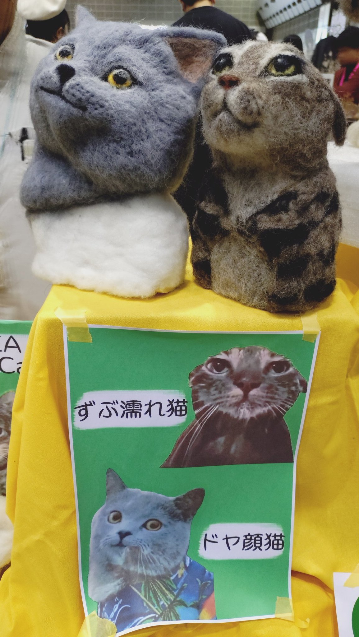 専用 です！！　　　猫ミーム mqdefault.jpg