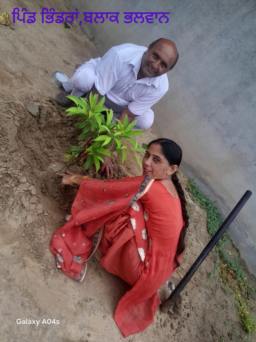 #MegaTreePlantation
#PlantForFuture
🌱 Saint MSG के जन्मदिन पर Dera Sacha Sauda अनुयायियों का अनोखा उपहार!
14-15 अगस्त को लाखों पौधों का रोपण कर धरती माँ को दी हरियाली की सौगात।
हरा-भरा कल, स्वस्थ पृथ्वी 🌍💚