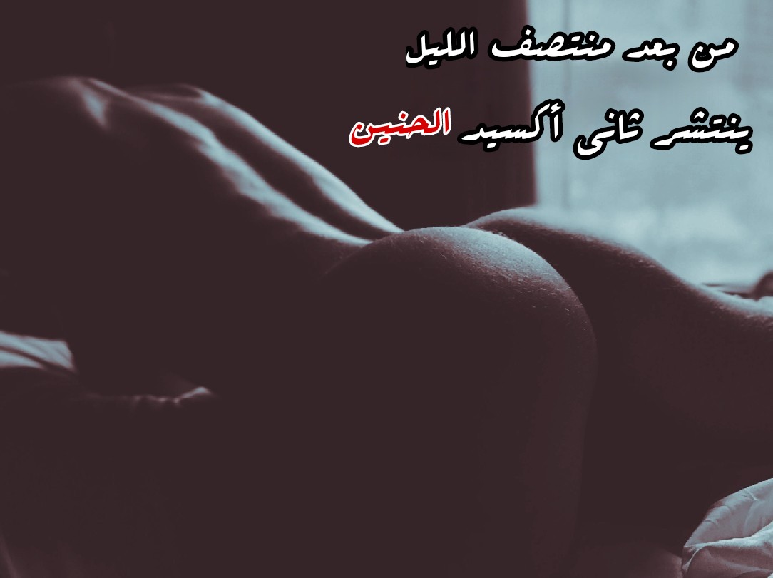 coolbeeboo55's tweet photo. .
.
#بوح_آخر_الليل
#القوس
. https://t.co/Yc9wLfn2rC