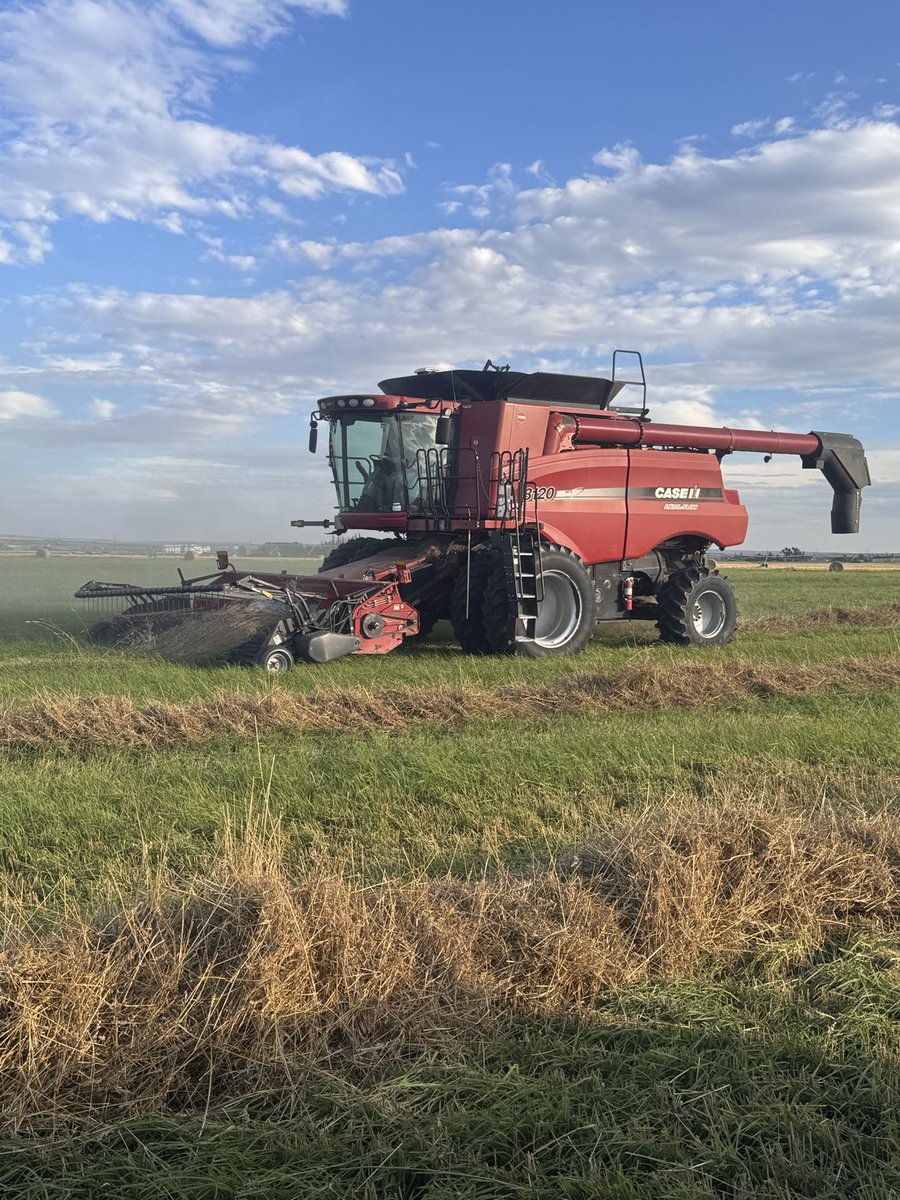 Finally combining orchardgrass after a 3 week rain delay