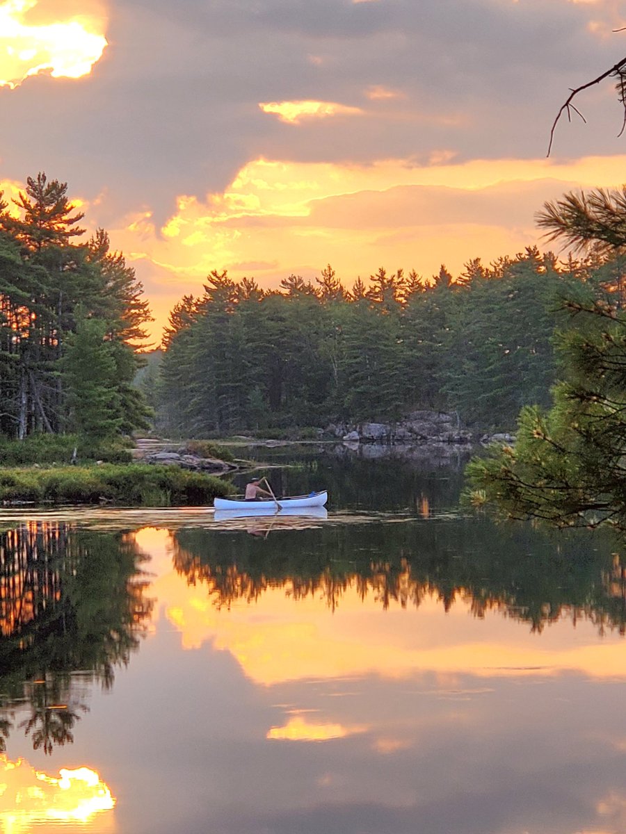 Mike Whitmarsh tweet media