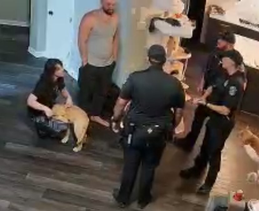 TECTONE 🇺🇸 tweet media