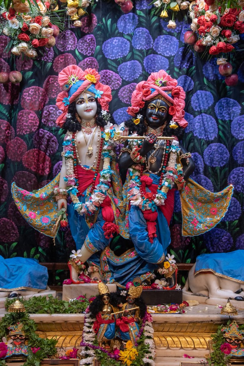 semwal2770's tweet photo. ॐ कृष्णाय वासुदेवाय हरये परमात्मने, प्रणतः क्लेशनाशाय गोविंदाय नमो नमः।
        🙏  ❤️🙏
#janmashtami2025
#KrishnaJanmashtami2025 https://t.co/YA0alZxkYW