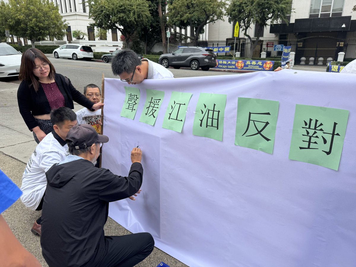 中國民主人权联盟,Qingmei Shi史慶梅 tweet media