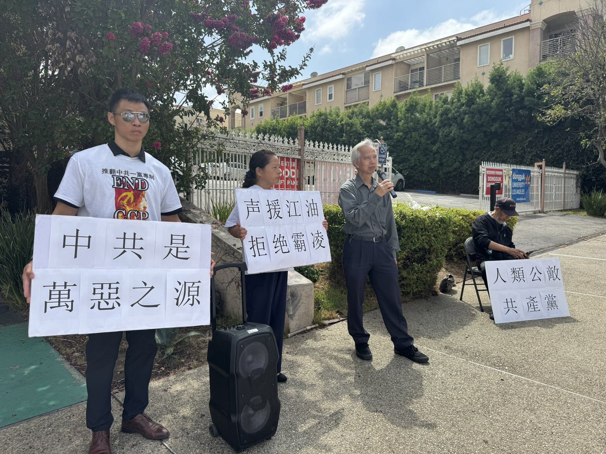 中國民主人权联盟,Qingmei Shi史慶梅 tweet media